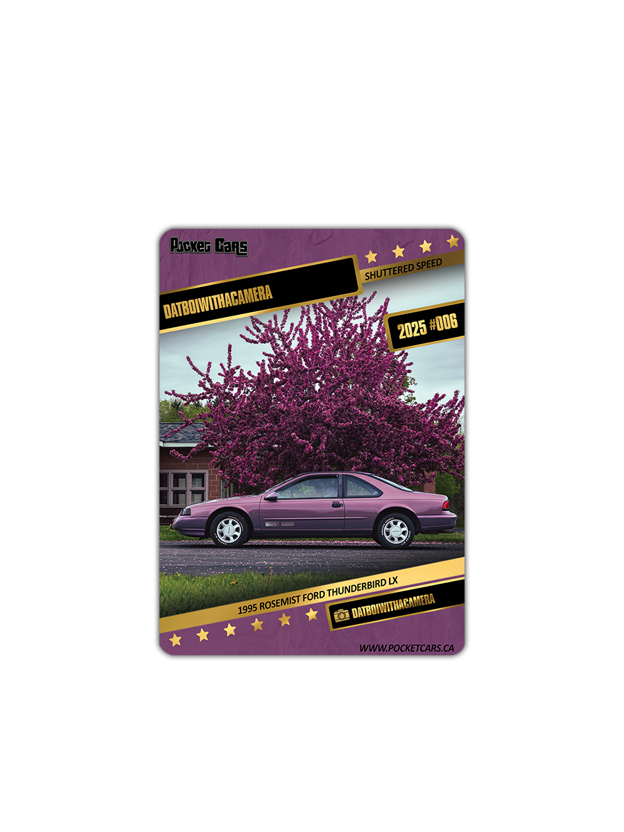 1995 ROSEMIST FORD THUNDERBIRD LX - DATBOIWITHACAMERA - #006 - SHUTTERED SPEED