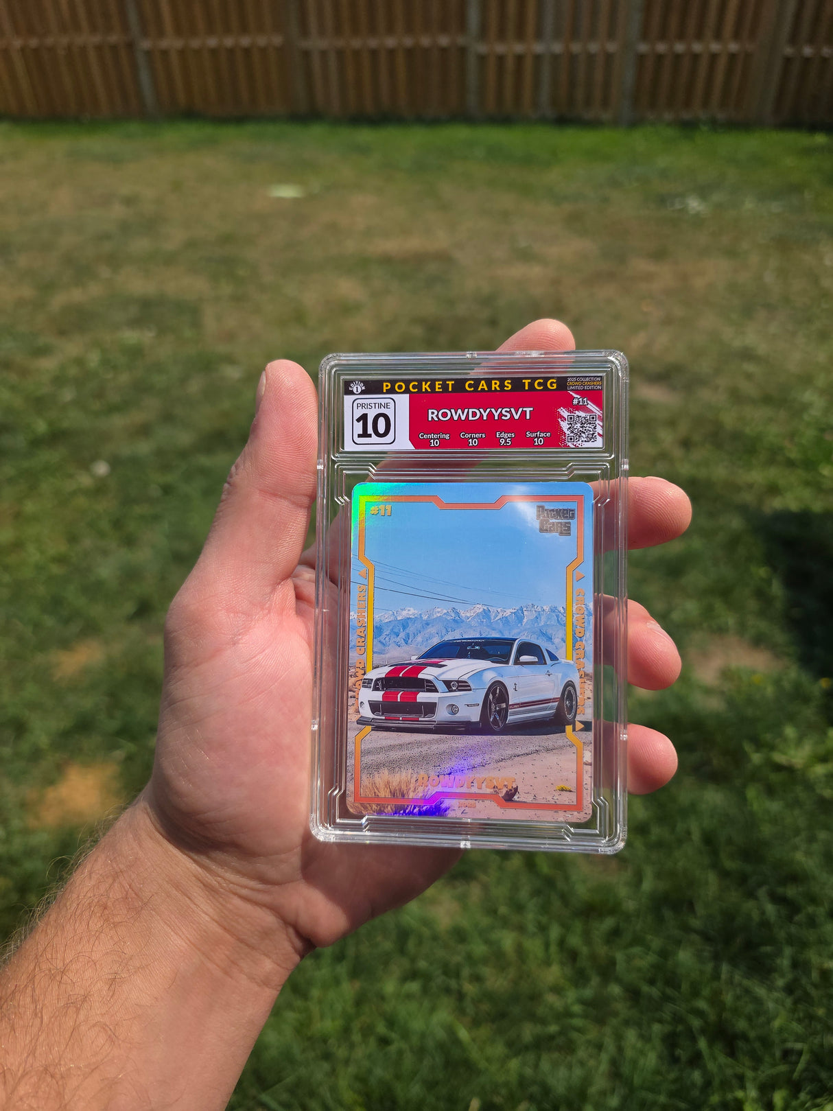 Rowdyysvt Holofoil Exclusive Crowd Crashers 10 Slab
